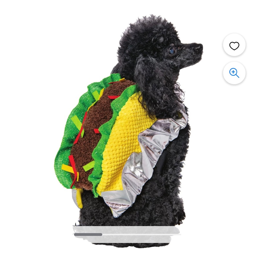 Dog Taco costume